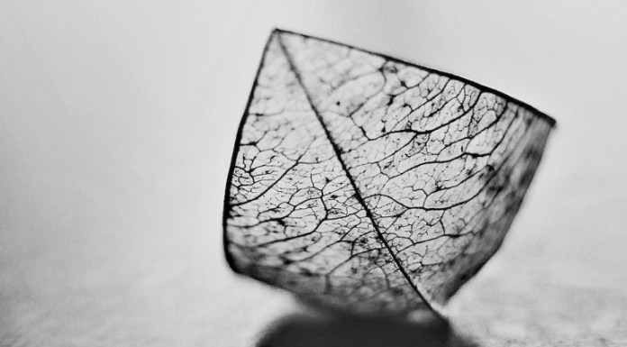 പെണ്ണേ, പ്രണയം നിന്നെ വഞ്ചിക്കാതിരിക്കട്ടെ