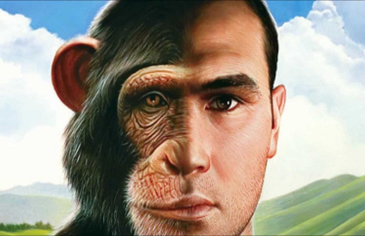 മനുഷ്യനും കുരങ്ങും