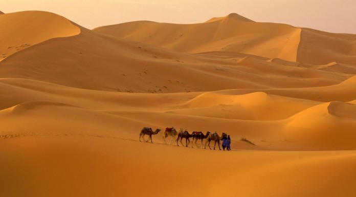 മരുഭൂമണ്ണിലെ കണ്ണീര്പ്പെരുന്നാള്