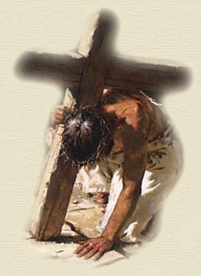 457d4e183d85034d2c637cace3e3b8f7