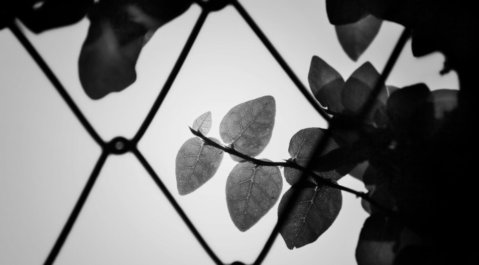 ആര്ത്തവം, ഇസ്തിഹാളത്, നിഫാസ്