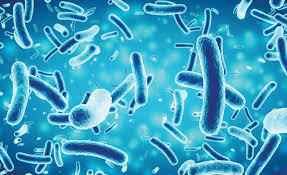 രോഗവും ചികിത്സയും ഇസ്ലാമിൽ