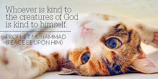 മൃഗപരിപാലനം ഇസ്ലാമിൽ