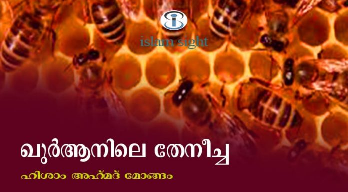ഖുർആനിലെ തേനീച്ച