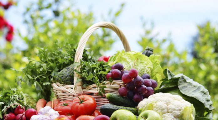 Discover How Yoga Benefits Your Proffessional Growth